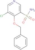 2-Chloro-N-isopropyl-N-(1-thiazol-2-yl-ethyl)-acetamide