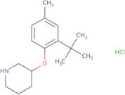 {2-[(2-Amino-ethyl)-ethyl-amino]-cyclohexyl}-carbamic acid benzyl ester