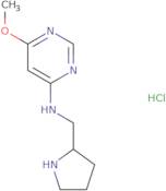 (6-Methoxy-pyrimidin-4-yl)-pyrrolidin-2-ylmethyl-amine hydrochloride