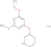 4-Ethoxy-2-methylsulfanyl-6-(piperidin-3-yloxy)-pyrimidine hydrochloride