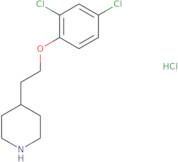 2-(1-Benzyl-piperidin-3-ylmethoxy)-ethylamine