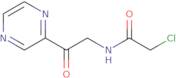 2-Chloro-N-(2-oxo-2-pyrazin-2-yl-ethyl)-acetamide