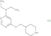 Diethyl-[6-(piperidin-4-ylmethoxy)-pyrimidin-4-yl]-amine hydrochloride