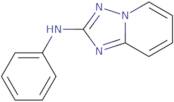 2-Amino-N-(2-chloro-6-fluoro-benzyl)-N-ethyl-acetamide