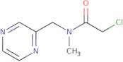 2-Chloro-N-methyl-N-pyrazin-2-ylmethyl-acetamide