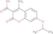 2-Amino-N-isopropyl-N-(4-nitro-benzyl)-acetamide