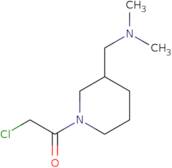 2-Chloro-1-(3-dimethylaminomethyl-piperidin-1-yl)-ethanone