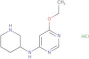 (6-Ethoxy-pyrimidin-4-yl)-piperidin-3-yl-amine hydrochloride