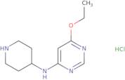 (6-Ethoxy-pyrimidin-4-yl)-piperidin-4-yl-amine hydrochloride