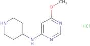 (6-Methoxy-pyrimidin-4-yl)-piperidin-4-yl-amine hydrochloride