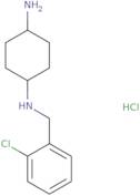 N-(2-Chloro-benzyl)-cyclohexane-1,4-diamine hydrochloride