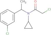 2-Chloro-N-[1-(3-chloro-phenyl)-ethyl]-N-cyclopropyl-acetamide