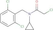 2-Chloro-N-cyclopropyl-N-(2,6-dichloro-benzyl)-acetamide