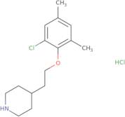 2-Chloro-N-ethyl-N-(1-methyl-pyrrolidin-2-ylmethyl)-acetamide