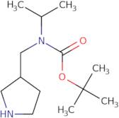 Isopropyl-pyrrolidin-3-ylmethyl-carbamic acid tert-butyl ester