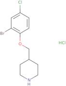 [1-(2-Chloro-acetyl)-piperidin-3-ylmethyl]-isopropyl-carbamic acid tert-butyl ester