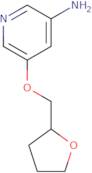 {2-[(Benzyloxycarbonyl-cyclopropyl-amino)-methyl]-pyrrolidin-1-yl}-acetic acid