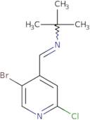 N-[1-(2-Amino-acetyl)-piperidin-3-ylmethyl]-N-cyclopropyl-acetamide