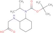 [2-(tert-Butoxycarbonyl-isopropyl-amino)-cyclohexylamino]-acetic acid