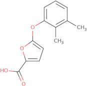 [1-(2-Hydroxy-ethyl)-pyrrolidin-3-ylmethyl]-methyl-carbamic acid benzyl ester