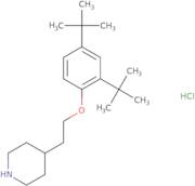 (4-Chloro-5-methoxy-pyrimidin-2-yl)-methyl-amine