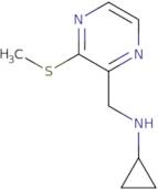 Cyclopropyl-(3-methylsulfanyl-pyrazin-2-ylmethyl)-amine