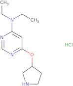 Diethyl-[6-((R)-pyrrolidin-3-yloxy)-pyrimidin-4-yl]-amine hydrochloride