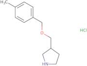 (R)-3-[(2-Chloro-acetyl)-ethyl-amino]-pyrrolidine-1-carboxylic acid benzyl ester