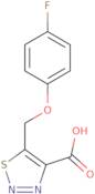 [(S)-1-(2-Amino-ethyl)-pyrrolidin-2-ylmethyl]-cyclopropyl-methyl-amine