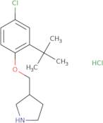 {4-[((S)-2-Amino-3-methyl-butyryl)-ethyl-amino]-cyclohexyl}-carbamic acid tert-butyl ester