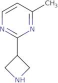 4-Ethoxy-2-methylsulfanyl-6-((R)-pyrrolidin-3-yloxy)-pyrimidine hydrochloride