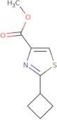 [(R)-1-(2-Amino-ethyl)-piperidin-3-yl]-cyclopropyl-carbamic acid benzyl ester