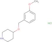 [(R)-3-(Isopropyl-methyl-amino)-pyrrolidin-1-yl]-acetic acid