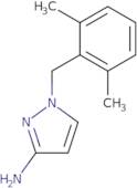 (S)-2-Amino-N-(2-cyano-benzyl)-N-methyl-propionamide