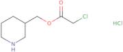 (R)-3-[(2-Amino-acetyl)-methyl-amino]-pyrrolidine-1-carboxylic acid benzyl ester