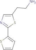 (R)-3-[(3-Methyl-thiophene-2-carbonyl)-amino]-pyrrolidine-1-carboxylic acid tert-butyl ester