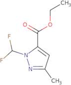 ethyl 1-(difluoromethyl)-3-methyl-1H-pyrazole-5-carboxylate