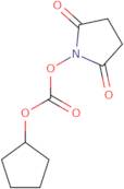 N-(Cyclopentyloxycarbonyloxy)succinimide
