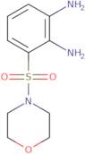 3-(Morpholinosulfonyl)benzene-1,2-diamine