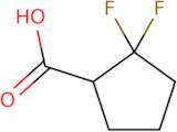 2,2-Difluorocyclopentane-1-carboxylic acid