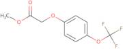 Methyl 2-[4-(trifluoromethoxy)phenoxy]acetate