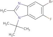 5-Bromo-1-tert-butyl-6-fluoro-2-methyl-1,3-benzodiazole