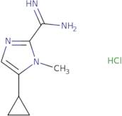 5-cyclopropyl-1-methyl-1h-imidazole-2-carboxamidine hcl