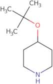 4-(tert-Butoxy)piperidine