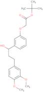 tert-Butyl (R)-2-(3-(3-(3,4-dimethoxyphenyl)-1-hydroxypropyl)phenoxy)acetate