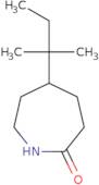 5-(2-Methylbutan-2-yl)azepan-2-one