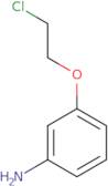 [3-(2-Chloroethoxy)phenyl]amine hydrochloride