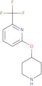 2-(Piperidin-4-yloxy)-6-(trifluoromethyl)pyridine