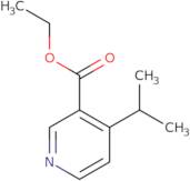 4-(1-Methylethyl)pyridine-3-carboxylic acid ethyl ester