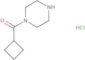 1-Cyclobutanecarbonylpiperazine hydrochloride